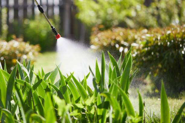 24/7 Emergency Termite Control experts in Gleed, WA